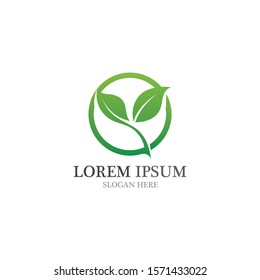 Leaf nature go green logo and symbol vector