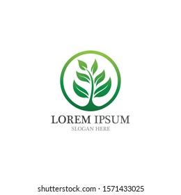 Leaf nature go green logo and symbol vector