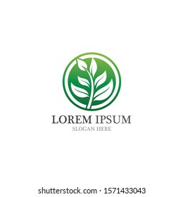 Leaf nature go green logo and symbol vector