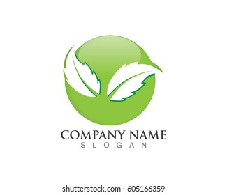 Leaf nature green 