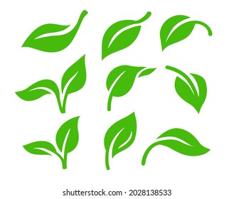 Leaf nature green color sign. Ecology theme vector