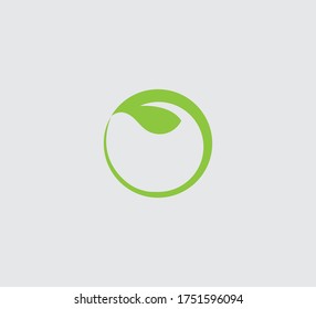 Leaf nature green vector image
