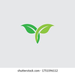 Leaf nature green vector image