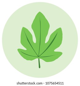 leaf nature icon