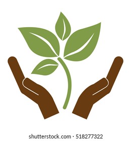 leaf nature icon image 