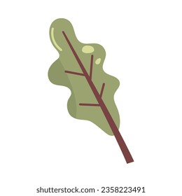 leaf nature icon isolated vector