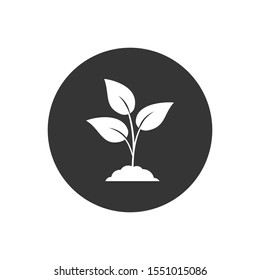 Leaf nature icon on gray. Vector 