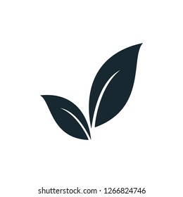 leaf nature icon symbol