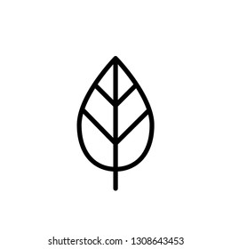 leaf, nature icon template