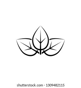 leaf, nature icon template trendy