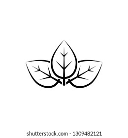 leaf, nature icon template trendy
