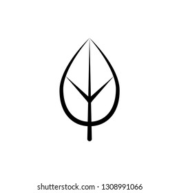 leaf, nature icon trendy