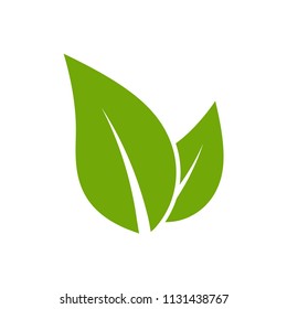 leaf - nature icon vector