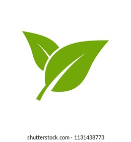 leaf - nature icon vector
