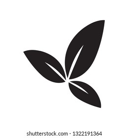 leaf nature icon vector 