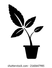 leaf nature icon vector illustration logo template