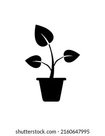 leaf nature icon vector illustration logo template