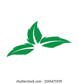 diseño de ilustración de vectores de iconos de naturaleza de hoja