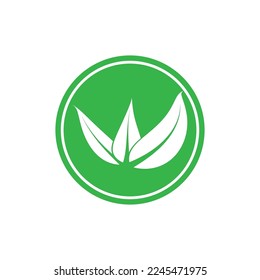 leaf nature icon vector illustration template design