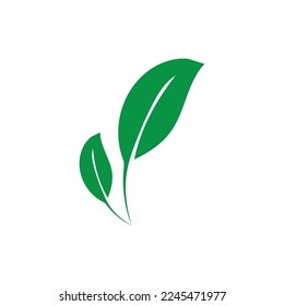 leaf nature icon vector illustration template design