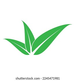 leaf nature icon vector illustration template design