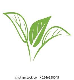diseño de ilustración de vectores de iconos de naturaleza de hoja