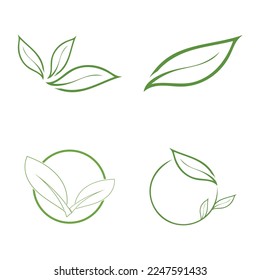 leaf nature icon vector illustration template design