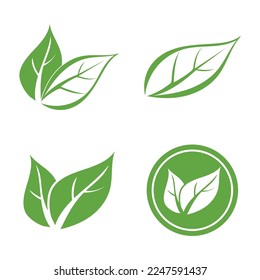 leaf nature icon vector illustration template design