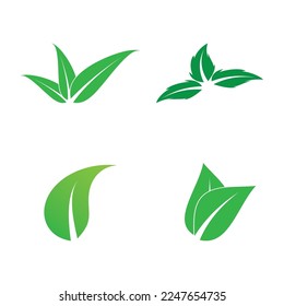 diseño de ilustración de vectores de iconos de naturaleza de hoja