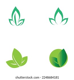 leaf nature icon vector illustration template design