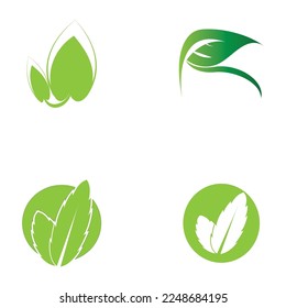 leaf nature icon vector illustration template design