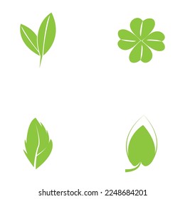 leaf nature icon vector illustration template design