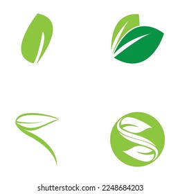 leaf nature icon vector illustration template design