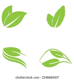 leaf nature icon vector illustration template design