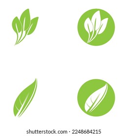 leaf nature icon vector illustration template design