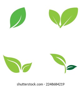 leaf nature icon vector illustration template design