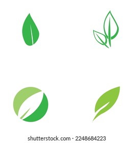leaf nature icon vector illustration template design