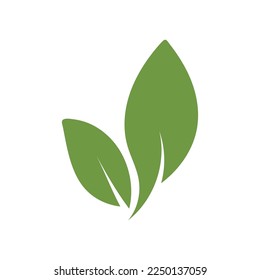 leaf nature icon vector illustration template design