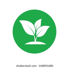 Leaf nature icon vector logo illustration