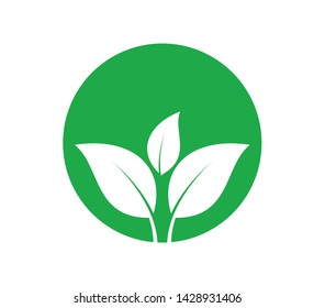 Leaf nature icon vector logo illustration