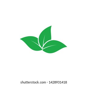 Leaf nature icon vector logo illustration