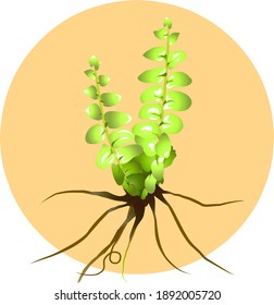 leaf nature illustration flat design