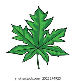 Naturaleza de hojas Diseño de ilustración de vida Dibujo a mano Decoración de Arte vectorial