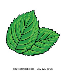 Blatt Natur Leben Illustration Design Handzeichnung Vektor Kunstdekoration
