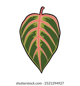 Naturaleza de hojas Diseño de ilustración de vida Dibujo a mano Decoración de Arte vectorial