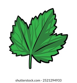 Leaf Nature Life Illustration Design Hand Drawing Vector Art Decoration