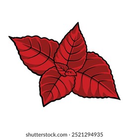 Leaf Nature Life Illustration Design Hand Drawing Vector Art Decoration