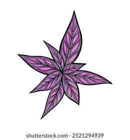Leaf Nature Life Illustration Design Hand Drawing Vector Art Decoration