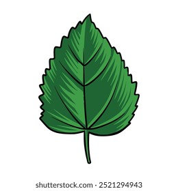 Naturaleza de hojas Diseño de ilustración de vida Dibujo a mano Decoración de Arte vectorial