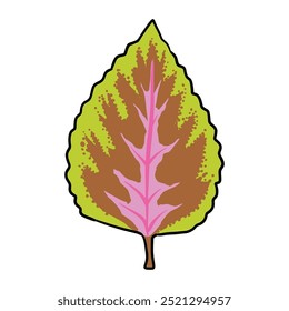 Leaf Nature Life Illustration Design Hand Drawing Vector Art Decoration
